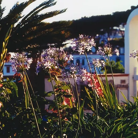 Villa Brigio *