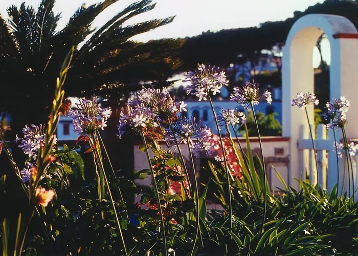 Villa Brigio *