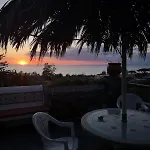 فيلة Brigio *