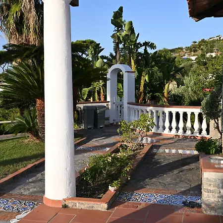 Brigio * Forio (Isola d'Ischia)