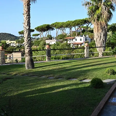 Brigio * Forio (Isola d'Ischia)